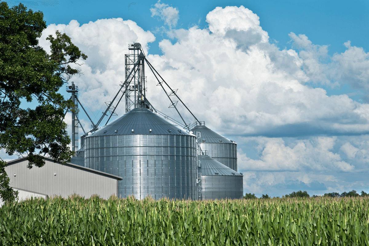 Feed and grain silos