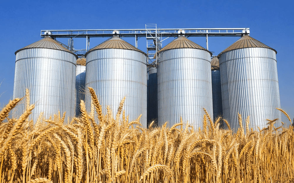 Low-to-high perspective of grain silos from the field: arching, bridging, and ratholing cleared without entry